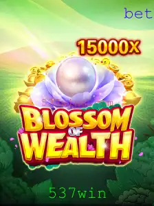 BlossomofWealth: Uma Introdução Completa