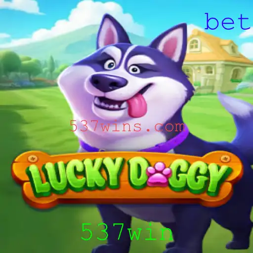 Descubra o Emocionante Mundo de LuckyDoggy com 537win