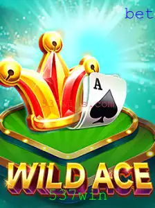 Explorando o Universo de WildAce: O Jogo que Conquista Multidões